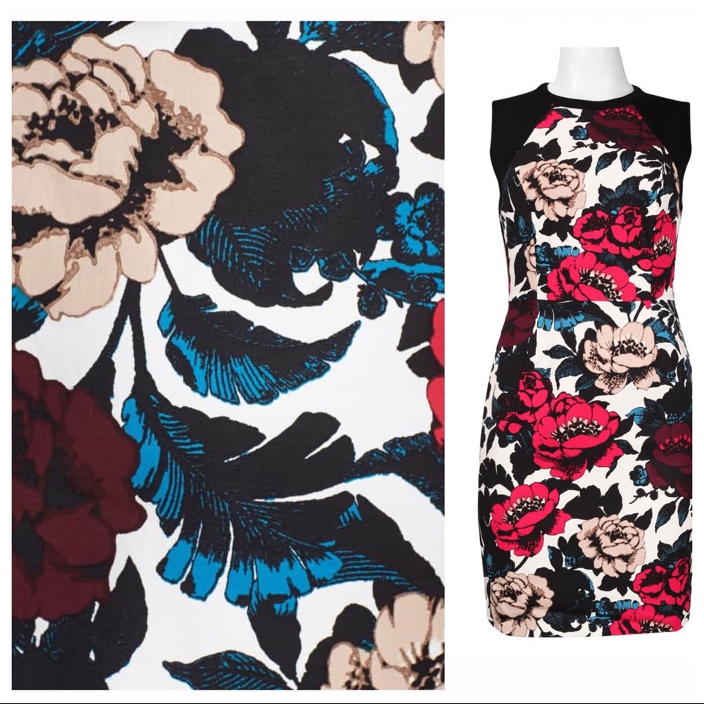 NWT Adrianna Papell stretch cotton sheath - Picture 2 of 3